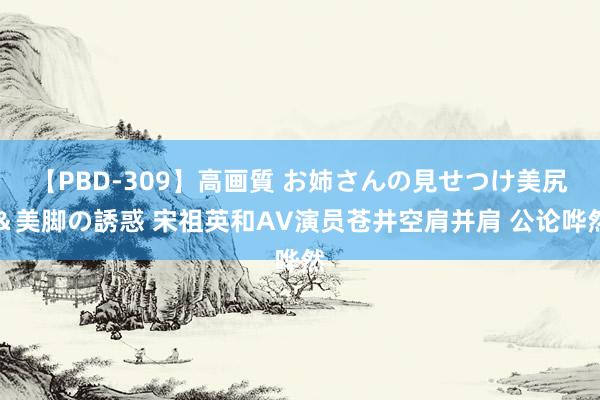 【PBD-309】高画質 お姉さんの見せつけ美尻＆美脚の誘惑 宋祖英和AV演员苍井空肩并肩 公论哗然