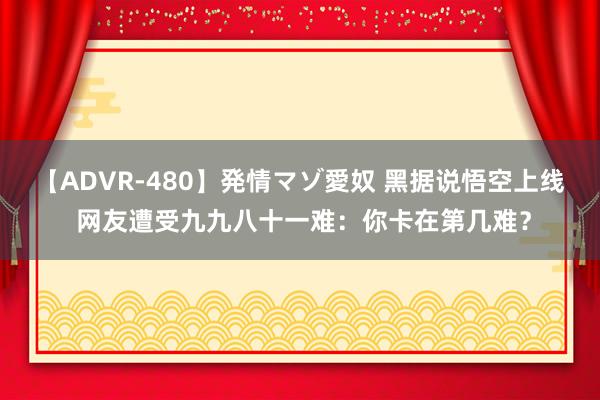 【ADVR-480】発情マゾ愛奴 黑据说悟空上线 网友遭受九九八十一难：你卡在第几难？