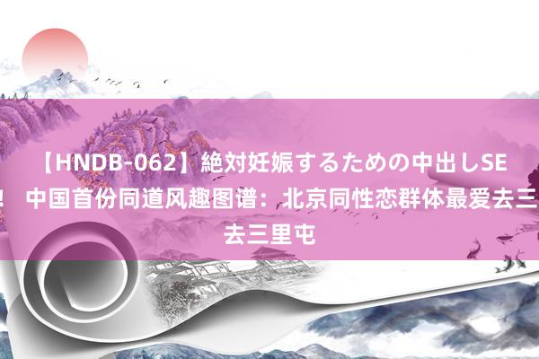 【HNDB-062】絶対妊娠するための中出しSEX！！ 中国首份同道风趣图谱：北京同性恋群体最爱去三里屯