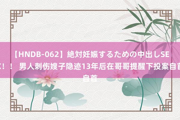 【HNDB-062】絶対妊娠するための中出しSEX！！ 男人刺伤嫂子隐迹13年后在哥哥提醒下投案自首