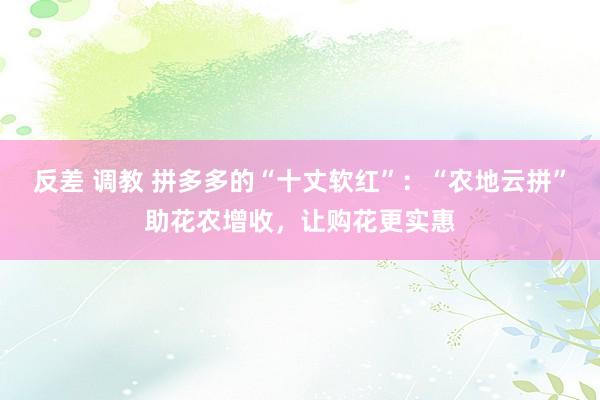 反差 调教 拼多多的“十丈软红”：“农地云拼”助花农增收，让购花更实惠