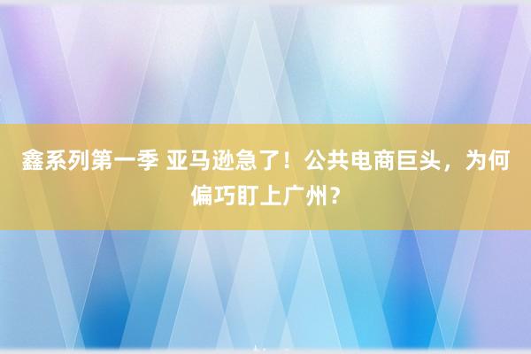 鑫系列第一季 亚马逊急了！公共电商巨头，为何偏巧盯上广州？