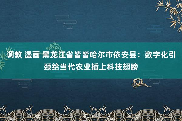 调教 漫画 黑龙江省皆皆哈尔市依安县：数字化引颈给当代农业插上科技翅膀