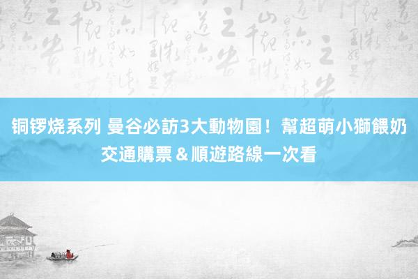 铜锣烧系列 曼谷必訪3大動物園！幫超萌小獅餵奶　交通購票＆順遊路線一次看