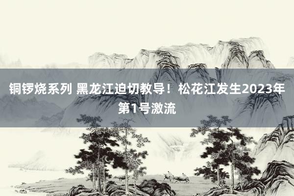 铜锣烧系列 黑龙江迫切教导！松花江发生2023年第1号激流