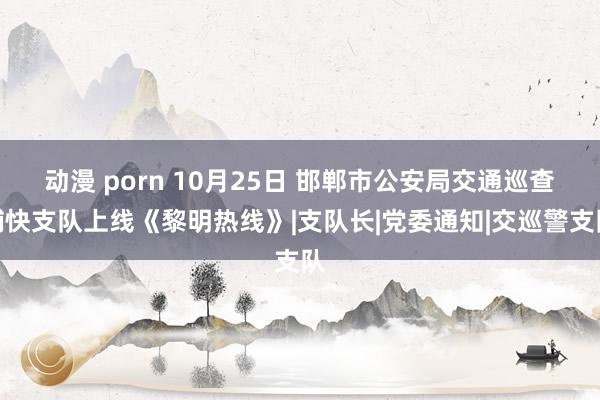 动漫 porn 10月25日 邯郸市公安局交通巡查捕快支队上线《黎明热线》|支队长|党委通知|交巡警支队