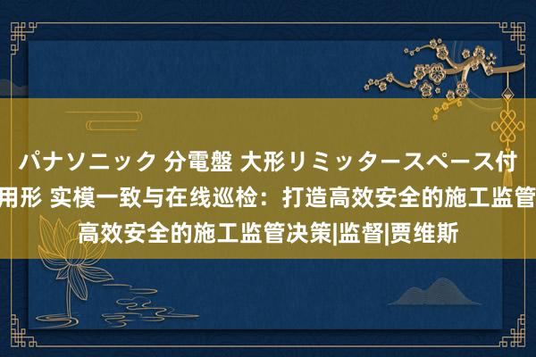 パナソニック 分電盤 大形リミッタースペース付 露出・半埋込両用形 实模一致与在线巡检：打造高效安全的施工监管决策|监督|贾维斯