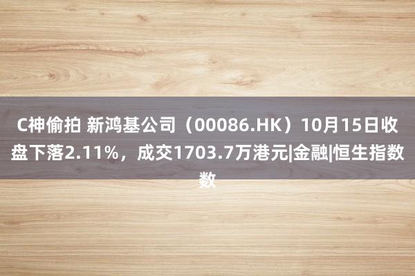 C神偷拍 新鸿基公司（00086.HK）10月15日收盘下落2.11%，成交1703.7万港元|金融|恒生指数