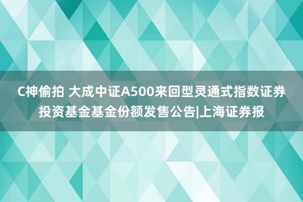 C神偷拍 大成中证A500来回型灵通式指数证券投资基金基金份额发售公告|上海证券报