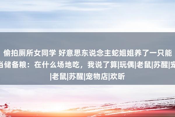 偷拍厕所女同学 好意思东说念主蛇姐姐养了一只能人的仓鼠当储备粮：在什么场地吃，我说了算|玩偶|老鼠|苏醒|宠物店|欢昕